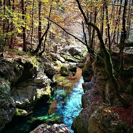 Ajda * Bohinj